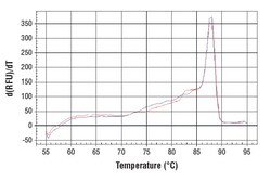 Cell Signaling Technology&nbsp;SimpleChIPR Human beta-Actin