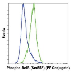 Cell Signaling Technology&nbsp;Phospho-RelB Ser552 D41B9