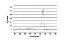 Cell Signaling Technology&nbsp;SimpleChIPR Human NR1D1 Prom