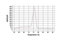 Cell Signaling Technology&nbsp;SimpleChIPR Human IFN-gamma