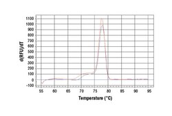 Cell Signaling Technology&nbsp;SimpleChIPR Human Tyrosinase