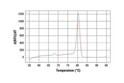 Cell Signaling Technology&nbsp;SimpleChIPRMouse MEST Promo