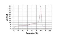Cell Signaling Technology&nbsp;SimpleChIPR Human HSP90-beta