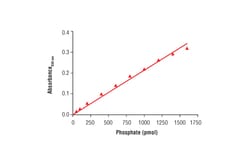 Cell Signaling Technology&nbsp;Malachite Green Phosphate Dete