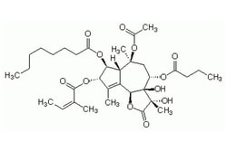 Cell Signaling Technology Thapsigargin 1 mg