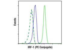 Cell Signaling Technology&nbsp;IRF-1 D5E4 XPRRabbit mAb