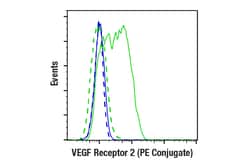 Cell Signaling Technology&nbsp;VEGF Receptor 2 D5B1 Rabbit