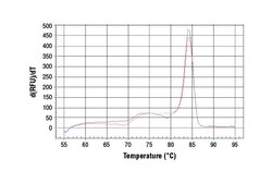 Cell Signaling Technology SimpleChIPR Human PMAIP1 Int