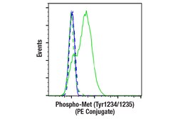 Cell Signaling Technology Phospho-Met Tyr1234/1235 D2