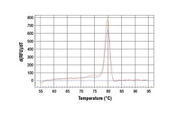 Cell Signaling Technology&nbsp;SimpleChIPR Human RUNX2 Prom