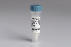 Cell Signaling Technology PTMScanR Trypsin Digested Co