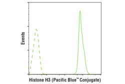 Cell Signaling Technology&nbsp;Histone H3 D1H2 XPRRabbit