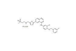 Cell Signaling Technology Lapatinib 10 mg