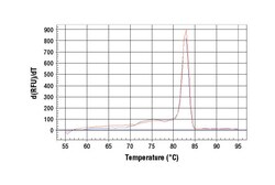 Cell Signaling Technology&nbsp;SimpleChIPR Human EGR1 Intro