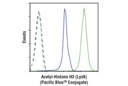 Cell Signaling Technology Acetyl-Histone H3 Lys9 C5B1