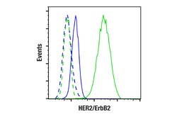 Cell Signaling Technology&nbsp;HER2 Trastuzumab Biosimilar