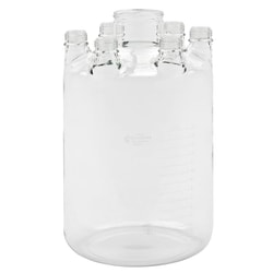 Chemglass Life Sciences Vessel, Bio Reactor, 36L, Graduated, 100-440 GPI Thread CN, (6) Vertical GL-45 SN's