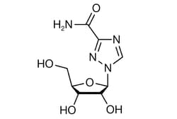 Cell Signaling Technology Ribavirin 100 mg