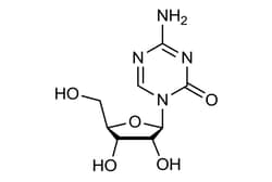 Cell Signaling Technology&nbsp;5-Azacytidine 50 mg