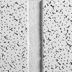 MSC&nbsp;ANGLD TEGULR CEILING TILE