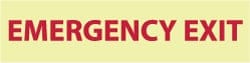 MSC&nbsp;EMERGENCY EXIT SIGN