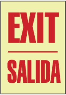 MSC&nbsp;BILINGUAL EXIT SIGN