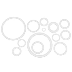 Chemglass Life Sciences&nbsp;Chemglass Perfluoro O-Ring (FFKM) AS568 #220, White, Class VI