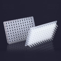 Sino Biological 96 Wells PCR plate-0.2mL-No skirt circle-Black printing,