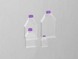 Sino Biological&nbsp;T25 Cell culture flask- Seal cap (Purple) (Sterile)