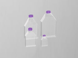Sino Biological&nbsp;T175 Cell culture flask- Seal cap (Purple) (Sterile)