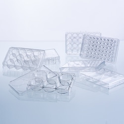 USA Scientific Inc 6-well non-treated PS plate