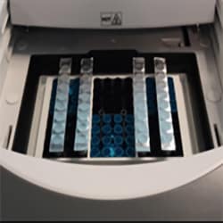 USA Scientific Inc TempPlate PCR Foil Strips