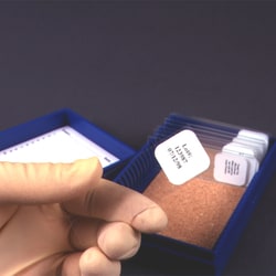 USA Scientific Inc Square Tough-Tags .88x.88