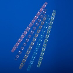 USA Scientific Inc 12-cap strip for 0.2 mL, mixed