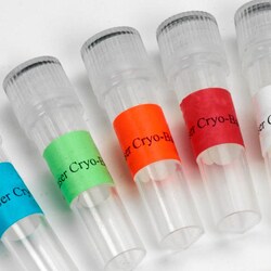 USA Scientific Inc&nbsp;Cryo-Tags, 2.625x1.0