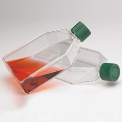 USA Scientific Inc&nbsp;CytoOne T150 TC flask