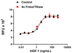 Biolegend Recombinant Human IGF-1 carrie, Quantity: Each of 1