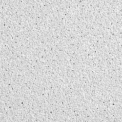 Grainger Ceiling Tile 24 in L 24 in W PK16