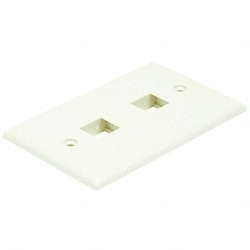 Grainger WallPlate Blank 2 Hole Ivory