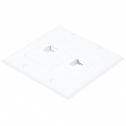 Grainger WallPlate Blank 2 Hole 2 Gang White, Quantity: Each of 1
