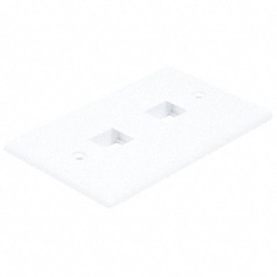Grainger WallPlate Blank 2 Hole White