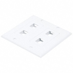 Grainger&nbsp;WallPlate Blank 4 Hole 2 Gang White