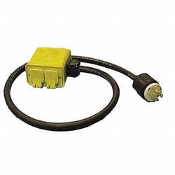 Grainger Generator Cord w/Box 1 Box 4 ft 20A