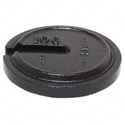 Grainger&nbsp;Weight Slotted 100x1lb Cast Iron Class7