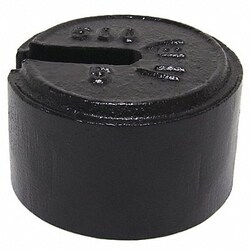 Grainger&nbsp;Weight Slotted 500x5lb Cast Iron Class7