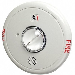 Grainger Horn Strobe Marked Fire Ceiling