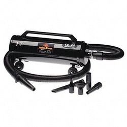 Grainger Automotive Dryer 120VAC 2 Speeds 260 cfm