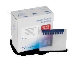 LICOR&nbsp;Odyssey, Bis-Tris, 10x8, 8%, 12 wells (pack of 10)