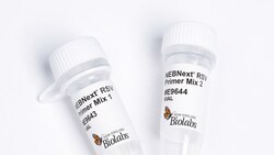 New England Biolabs, Inc. NEBNext RSV Primer Module - 24 reactions