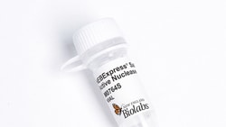 New England Biolabs, Inc. NEBExpreb Salt active Nuclease - 50kU
